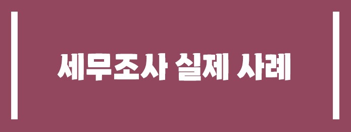 세무조사 실제 사례