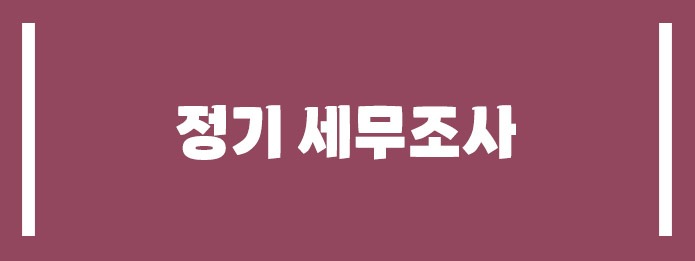 정기 세무조사