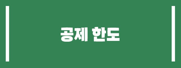 공제 한도